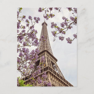 Paris Tour Eiffel - Carte postale Photo Springtime