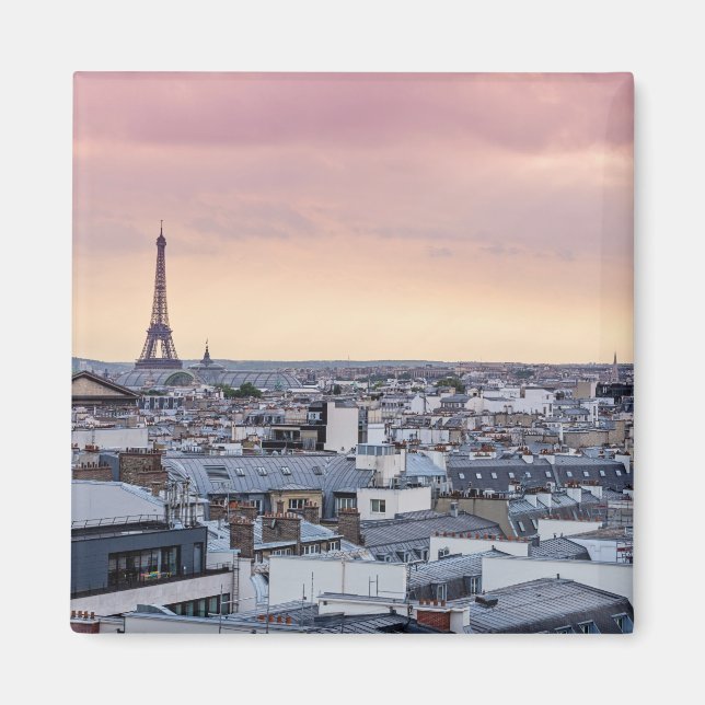 Paris Tour Eiffel La Vie En Rose Magnet (Devant)