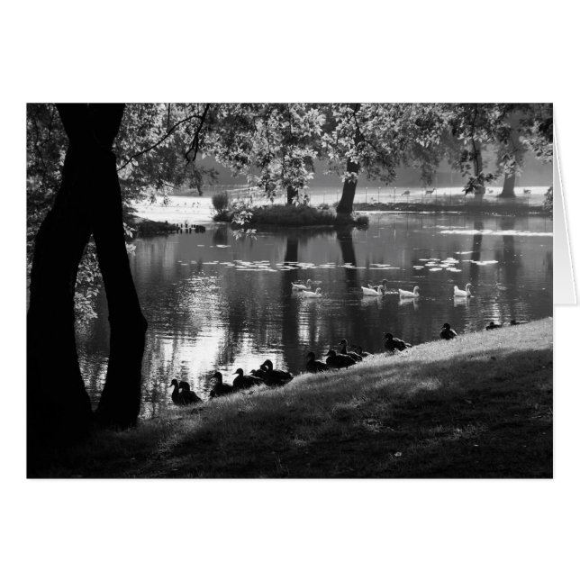 Park Life gccn (Devant horizontal)