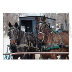 Parking pour chevaux