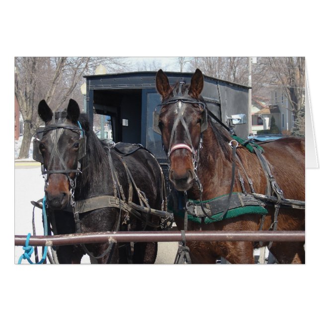 Parking pour chevaux (Devant horizontal)
