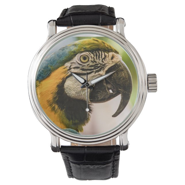 Parler comme une montre pirate (devant)