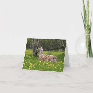 Parler de cartes Llama