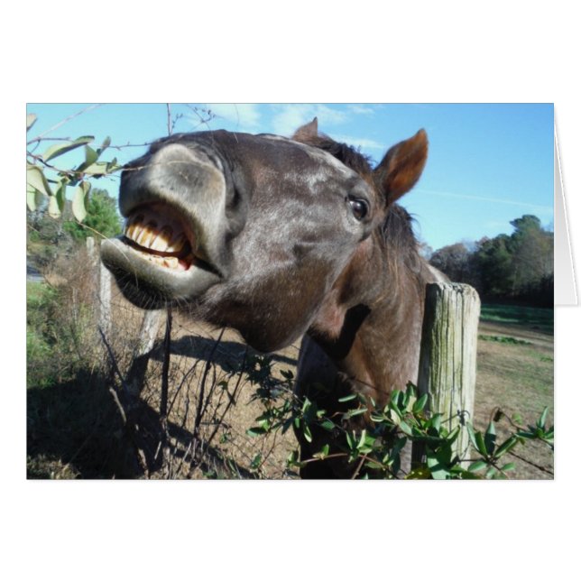 Parler de cheval Brown (Devant horizontal)