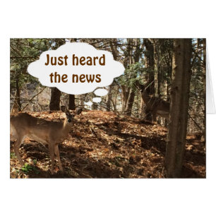 PARLER DE DEER COUPLE DIT "TU ES ***21***