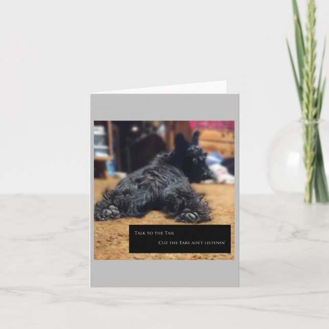 Parlez à la carte à voile (Devant)