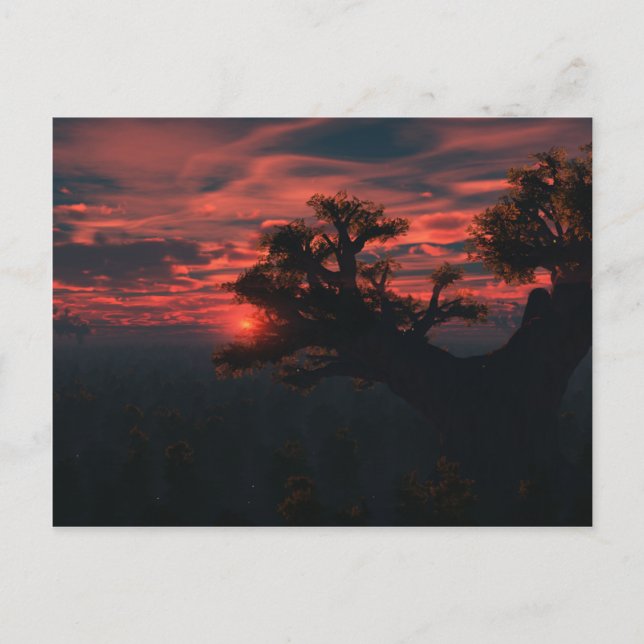 Parmi Les Anciens Carte Postale (Devant)