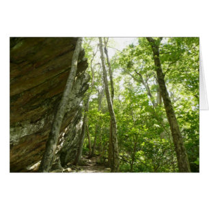 Paroi rocheuse de Frazier dans le parc national de