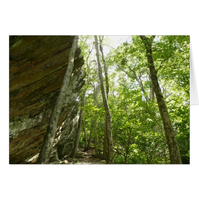 Paroi rocheuse de Frazier dans le parc national de (Devant horizontal)