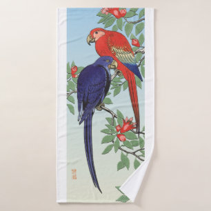 PARROIS BLEU ROUGE