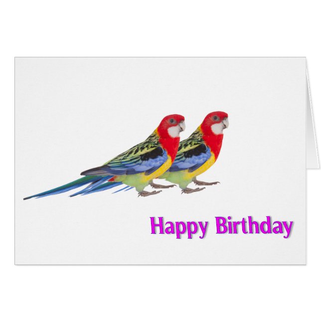 Parrot image for Birthday greeting card (Devant horizontal)