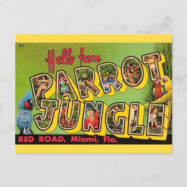 Parrot Jungle Miami Carte Postale Ancienne (Devant)
