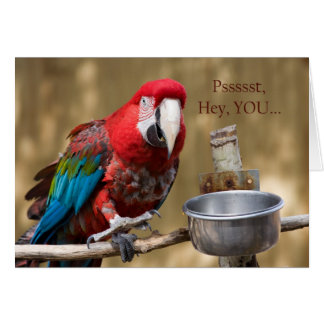 Parrot Photographie Rouge Bleu Vert Carte d'amitié