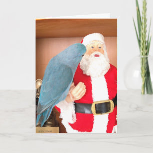 Parrotlet Bird visite la carte de Noël du Père Noë