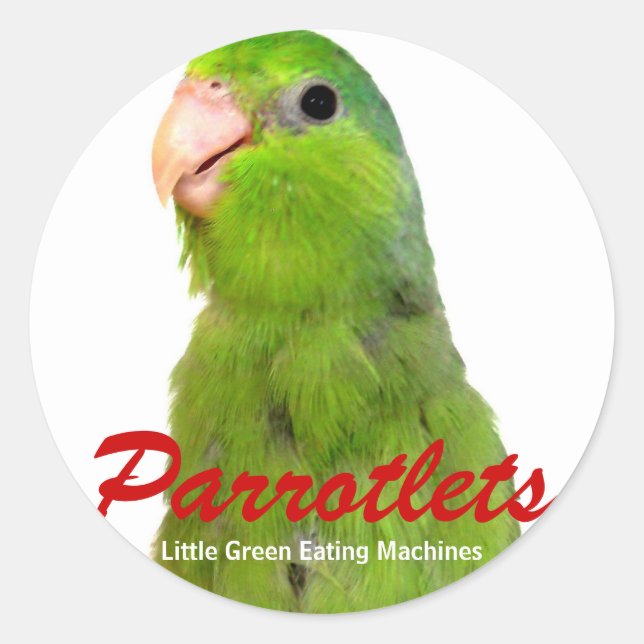 Parrotlet Oiseaux autocollants art Parrot Green Pa (Devant)