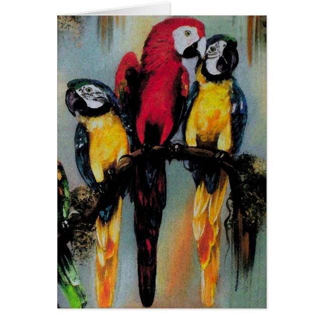 Parrots parlants ~ Carte (Devant)