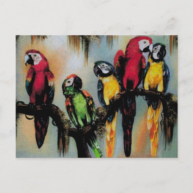 Parrots parlants ~ Carte postale Oiseau Nature sau (Devant)