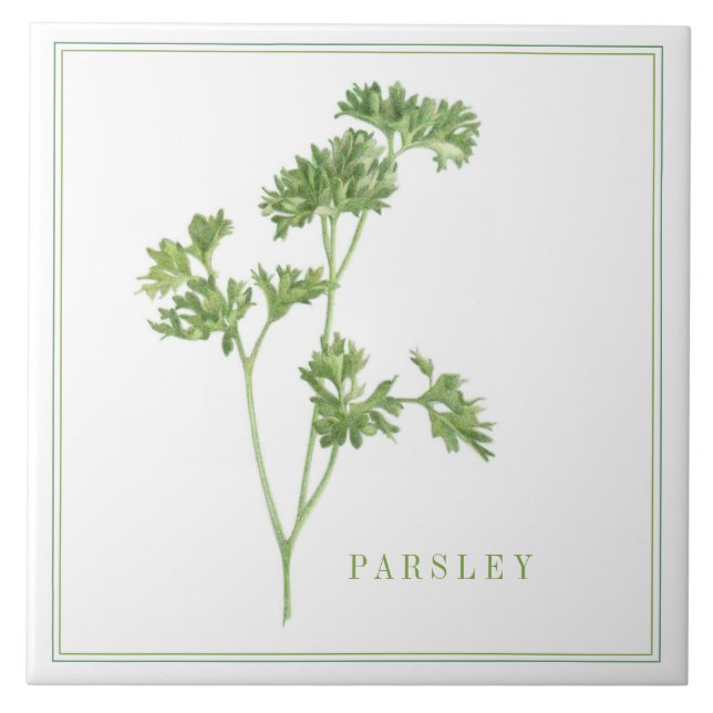 PARSLEY 6x6 FRAIS Carreaux en céramique (+texte) (Devant)