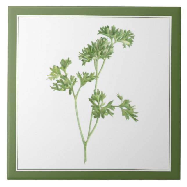 PARSLEY 6x6 FRAIS Carreaux en céramique (-texte ve (Devant)
