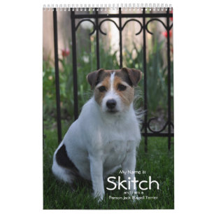 Parson Jack Russell Terrier Chien Calendrier par J