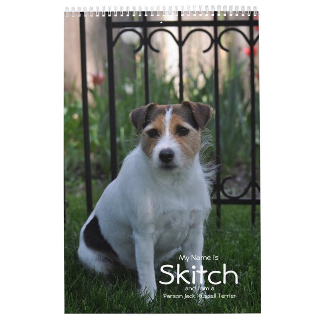 Parson Jack Russell Terrier Chien Calendrier par J (Protection)