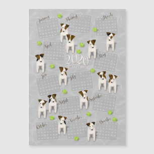Parson Jack Russell Terriers gris calendrier 2020