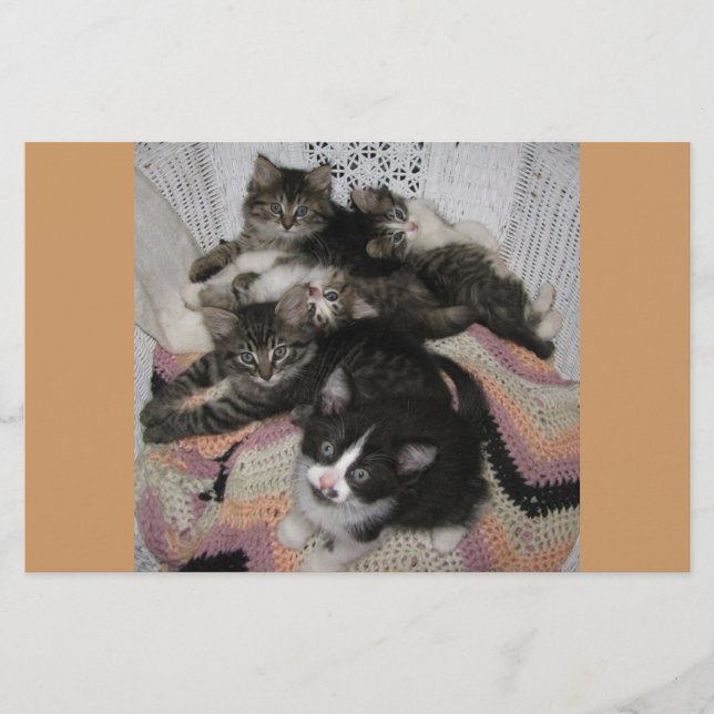 Part chaise Kitties (Devant)