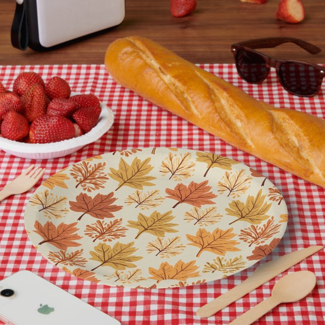 Partage des assiettes pour le don de Merci. (Pique-nique)