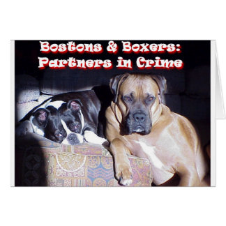 Partenaires dans le domaine de la criminalité