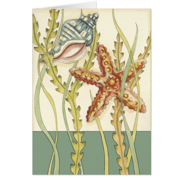 Partie Shell multicolore (Devant)