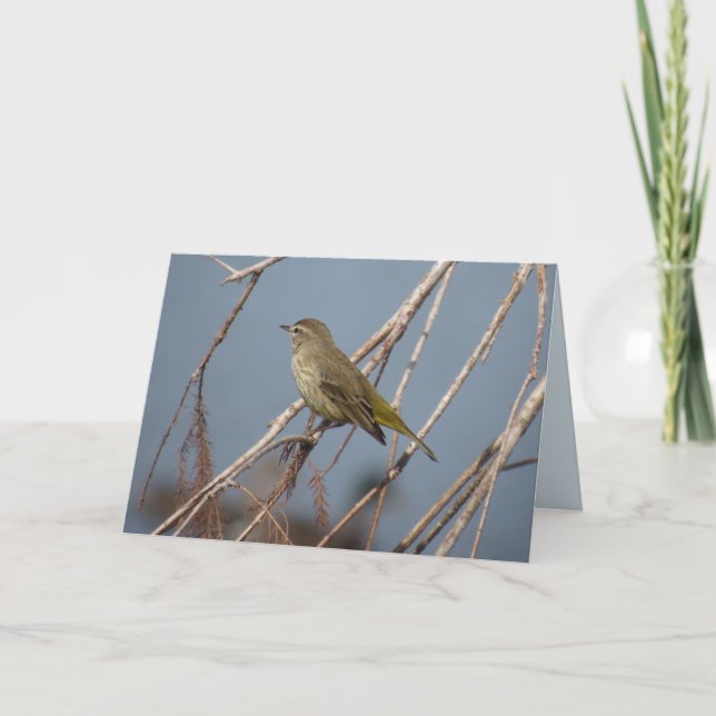 Paruline de palme - Carte de voeux pour oiseaux Ja (Devant)