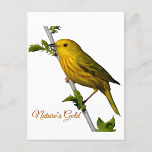 Paruline jaune "L’or de la nature" Carte d’art imp