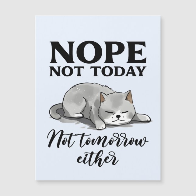 Pas aujourd'hui, pas demain - Chat endormi (Devant)