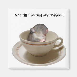 Pas avant que j'aie mon Magnet de café