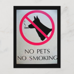 Pas de cartes postales pour animaux