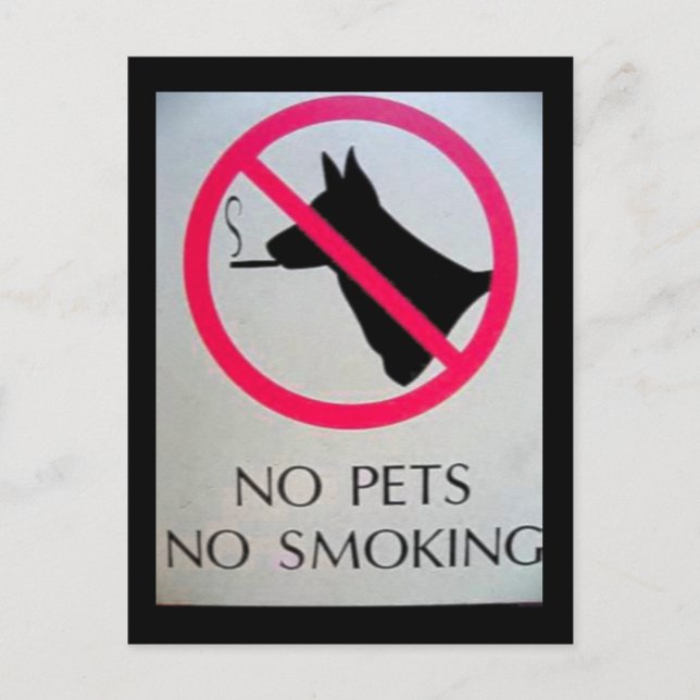Pas de cartes postales pour animaux (Devant)
