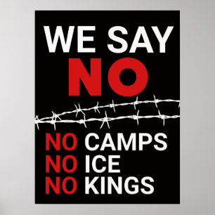 Pas de glaces Pas de camps Pas de rois Affiche de