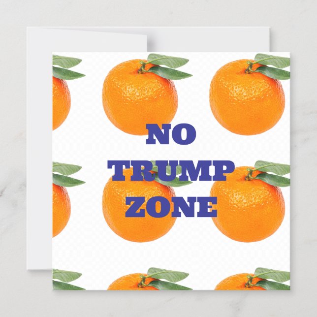 PAS DE MAGNET DE ZONE TRUMP (Recto)