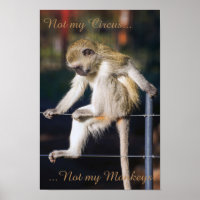 Pas mon cirque, pas mon affiche de singes