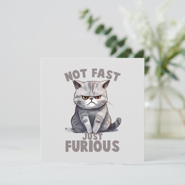 Pas rapide, juste furieux - Humour de chat gris (Debout devant)