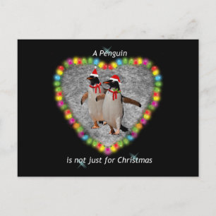 Pas seulement pour la carte postale de Noël