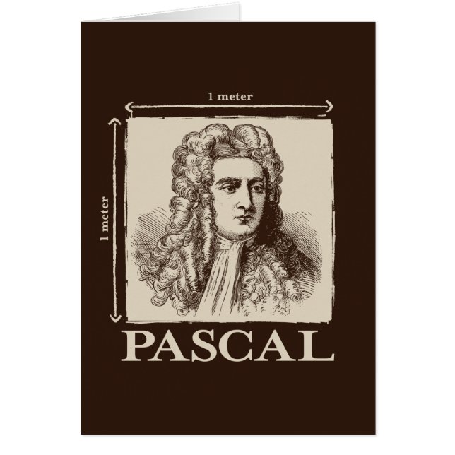 Pascal = 1 newton par plaisanterie de maths de (Devant)