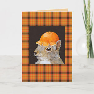 Pascal sur carte plaid