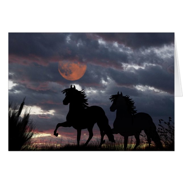 Paso péruvien dans le clair de lune (Devant Horizontal)