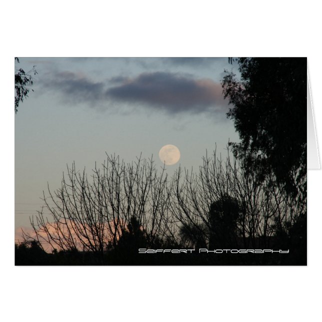 Paso Robles Ca (Devant horizontal)