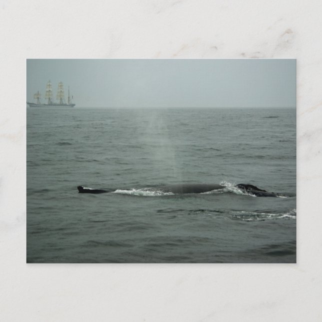 Passer Par Carte Postale (Devant)