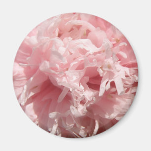 Passez Pale Rose Pavot Magnet