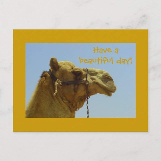 Passez une belle journée - carte postale de chamea (Devant)
