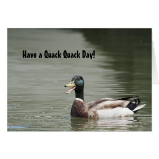 Passez une journée de quack !