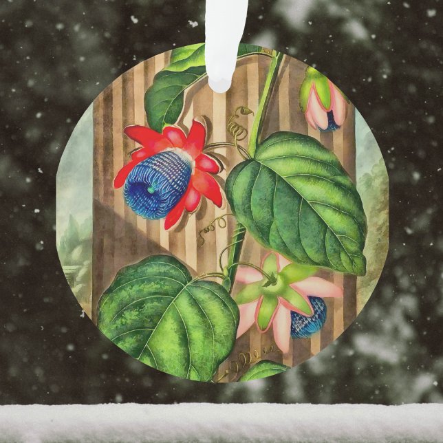 Passion ailée - Temple de la Flore - Noël (Créateur téléchargé)